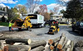 Best Tree Trimming and Pruning  in Laie, HI